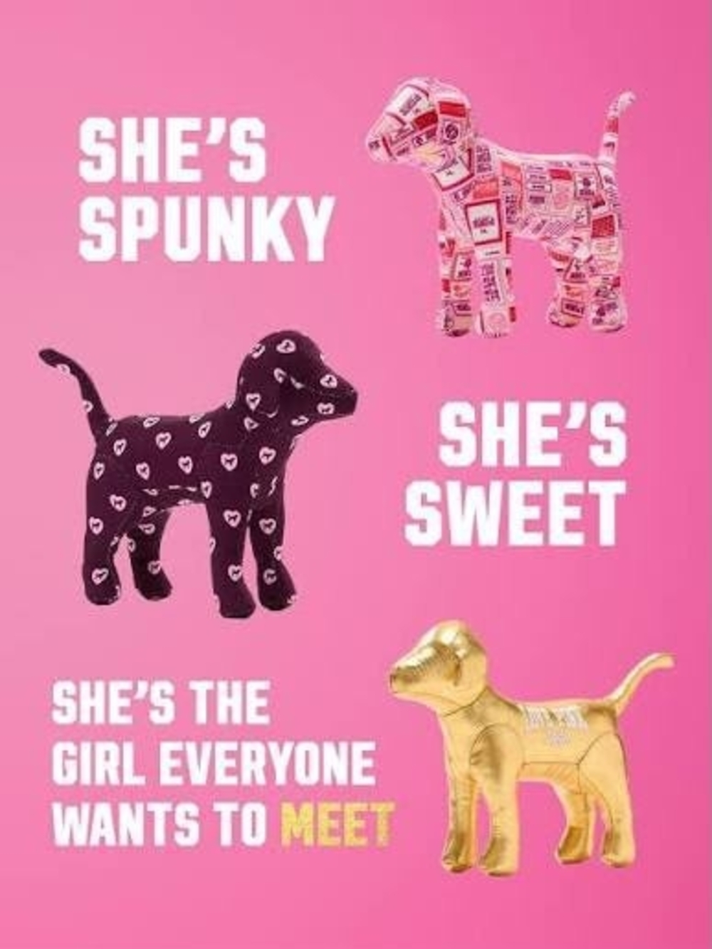 PINK VS Friday Mini Mystery Dog